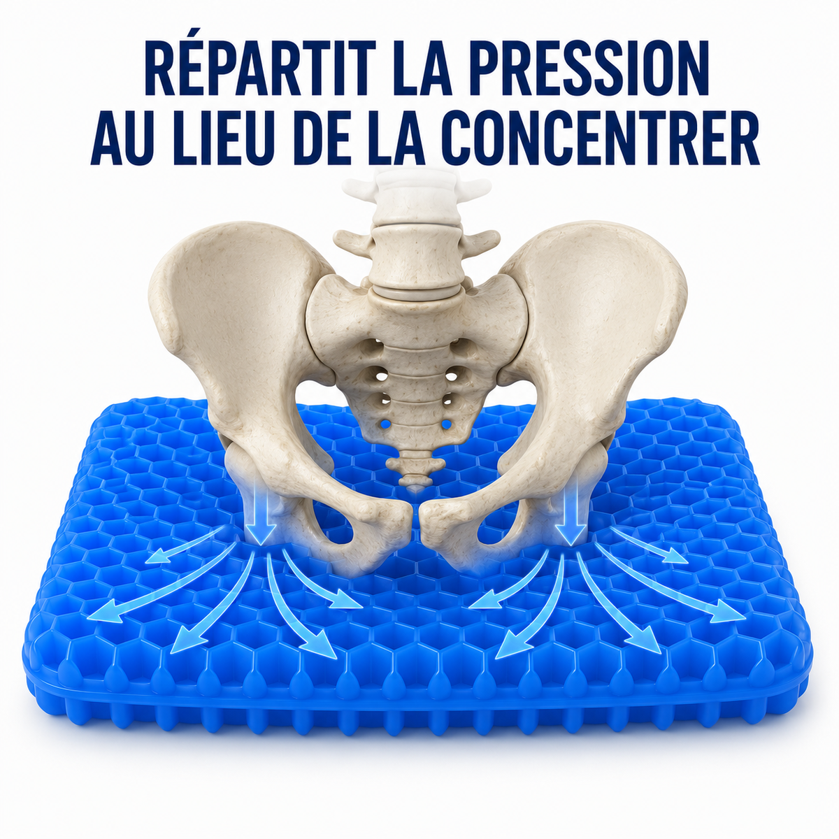 Schéma de la répartition de la pression du coccyx et du bassin sur un coussin en gel