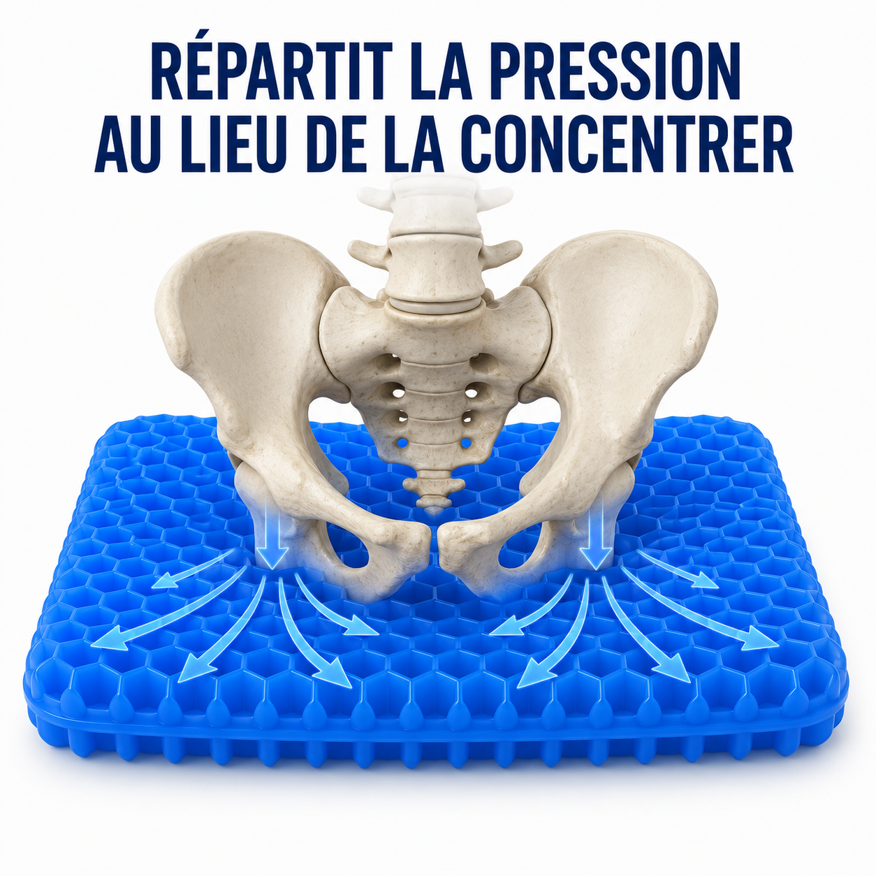 Schéma de la répartition de la pression du coccyx et du bassin sur un coussin en gel Image