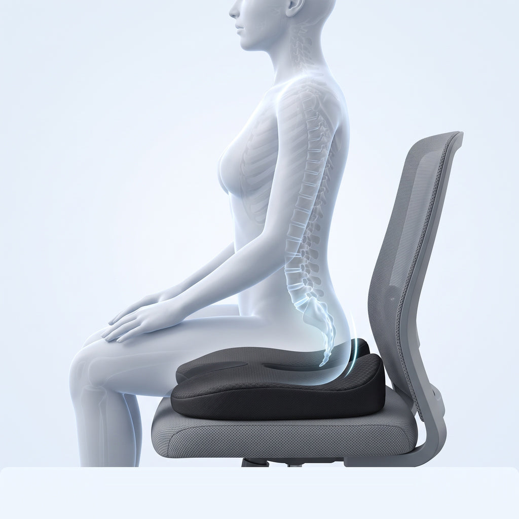 Vue anatomique du coccyx suspendu au-dessus de la découpe en U